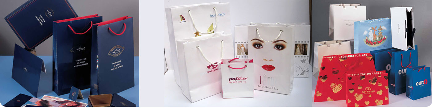 Paper bags manufacturer