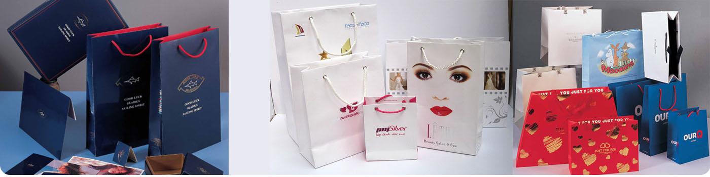 Print paper bags,Paper bags styles