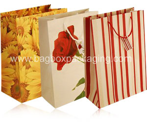 Printed paper bags,Custom printed paper bags